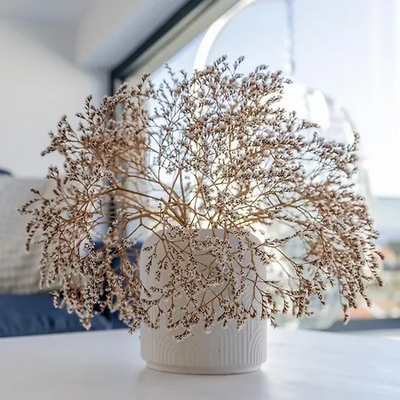 Penthouse Vanda Sutivan